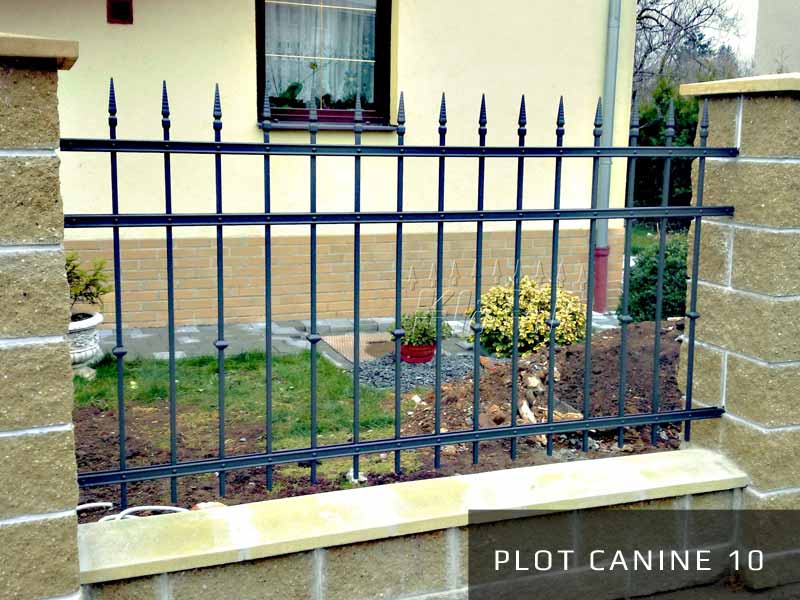 Kovaný plot Canine 10
